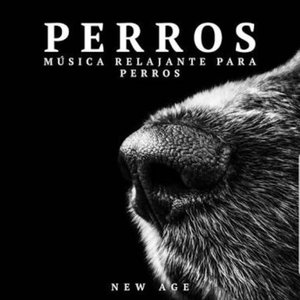 Perros: Musica Relajante para Perros (Sonidos de la Naturaleza)