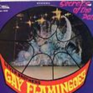 Изображение для 'Gay Flamingoes Steelband'