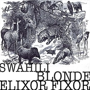 Elixor Fixor