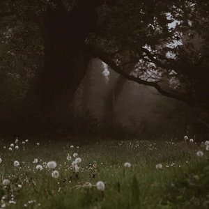 nothing feels real anymore