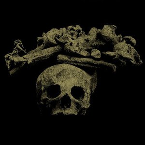 Black Vault 的头像