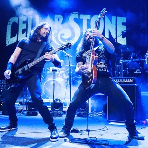 Cellar Stone 的头像