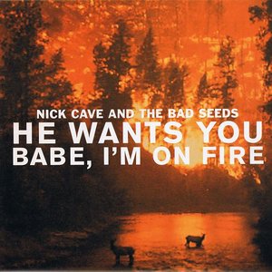 He Wants You / Babe, I'm On Fire