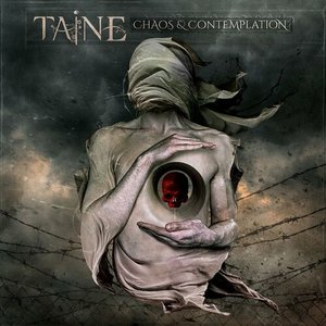 Chaos & Contemplation