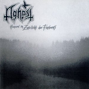 “Hexerei im zweilicht der finsternis”的封面
