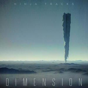 Dimension