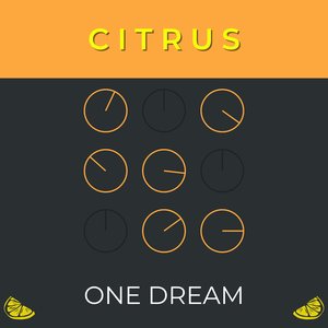 Citrus - Single