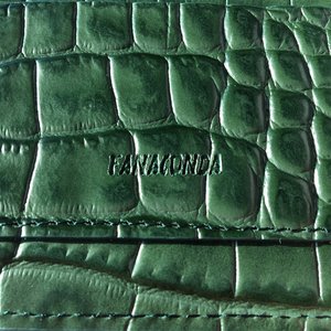 Fanaconda