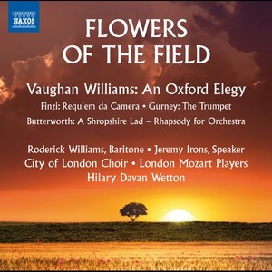 Flowers of the Field