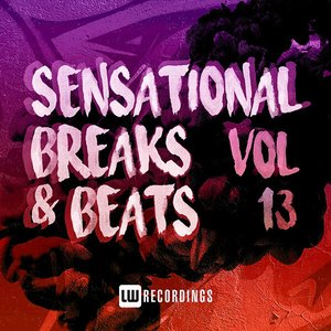 Sensational Breaks & Beats, Vol. 13