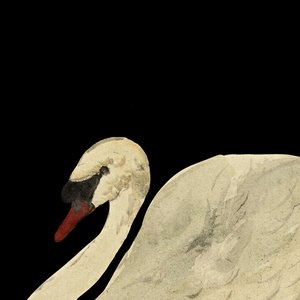 Ben Met Je (feat. ADF Samski & Kaya Imani) - Single