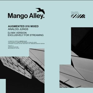 Augmented 016 / Analog Jungs
