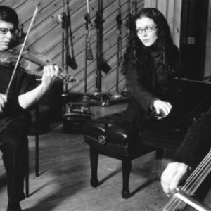 Erik Friedlander, Sylvie Courvoisier and Mark Feldman 的头像