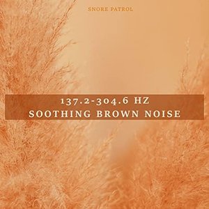 137.2 - 304.6 Hz Soothing Brown Noise
