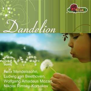 Dandelion