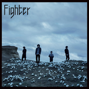 Artwork for Fighter