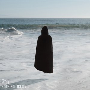 Nothing Like Us