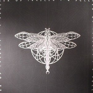 SEX OF INSECTS 的头像