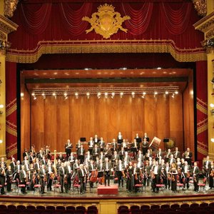 The Tchaikovsky Symphony Orchestra 的头像
