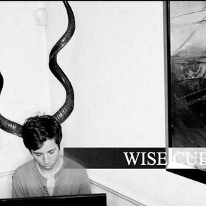 Wise Cub 的头像
