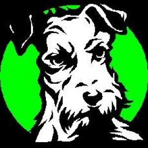 “O Dogg - Dogg In The Basement”的封面