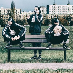 Avatar for gleb : zoo x delik