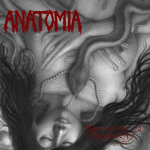 Decaying in Obscurity cover