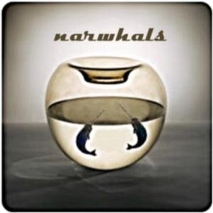 Narwhals 的头像