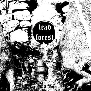Lead Forest 的头像