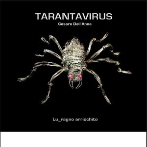 Lu_Ragno Arricchito