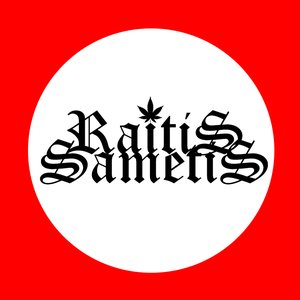 Raitis Sametis 的头像