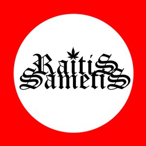 Image for 'Raitis Sametis'