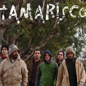 “tamarisco”的封面