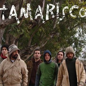 Image for 'tamarisco'