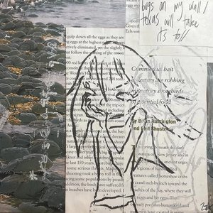 bugs on my wall / texas will take its toll - Single