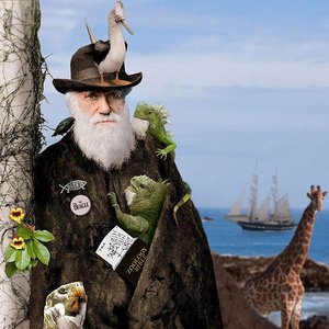 Avatar for Darwin & The Naked Apes