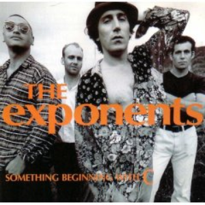 The Exponents - Why Does Love Do This to Me: The Exponents Greatest Hits - Zortam Music