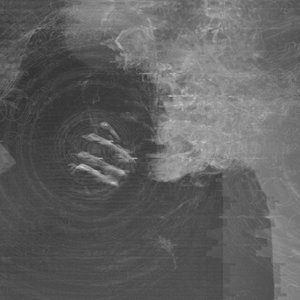 king kiwano 的头像