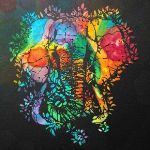 Pachyderm