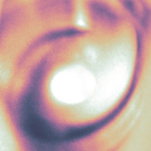 Stay - Single