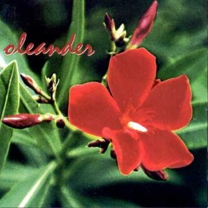 Oleander