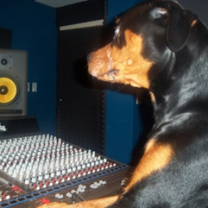 Crotchduster photo provided by Last.fm