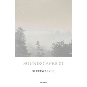 Soundscapes 01