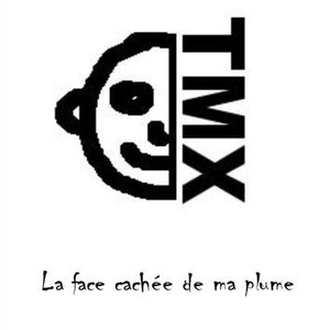 La face cachée de ma plume cover