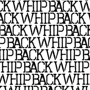 Whipback 的头像