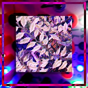 sonicxperiments_0017