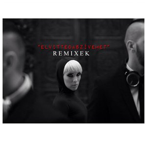 Elvitted a szívemet Remixek - Single