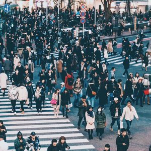 Avatar for Shibuya Scramble