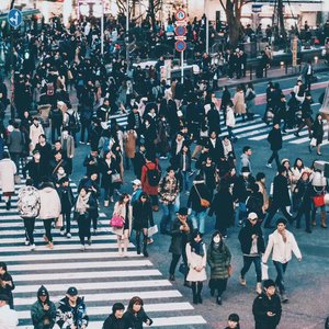 Shibuya Scramble 的头像