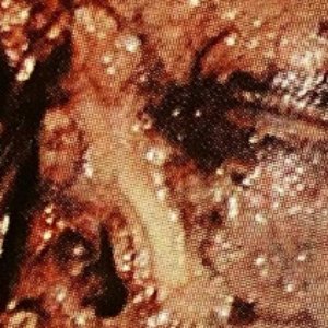Avatar für Bone Fetish
